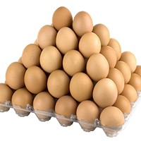 Eierenps