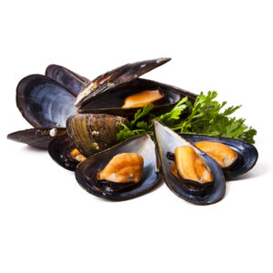 Mossel